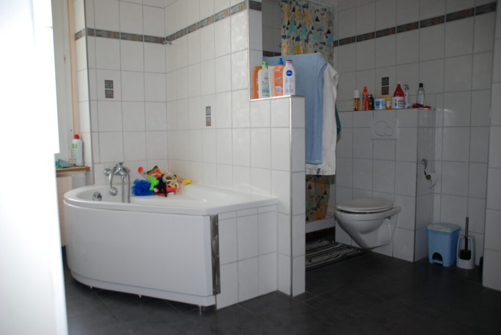 19 SDB douche avec WC