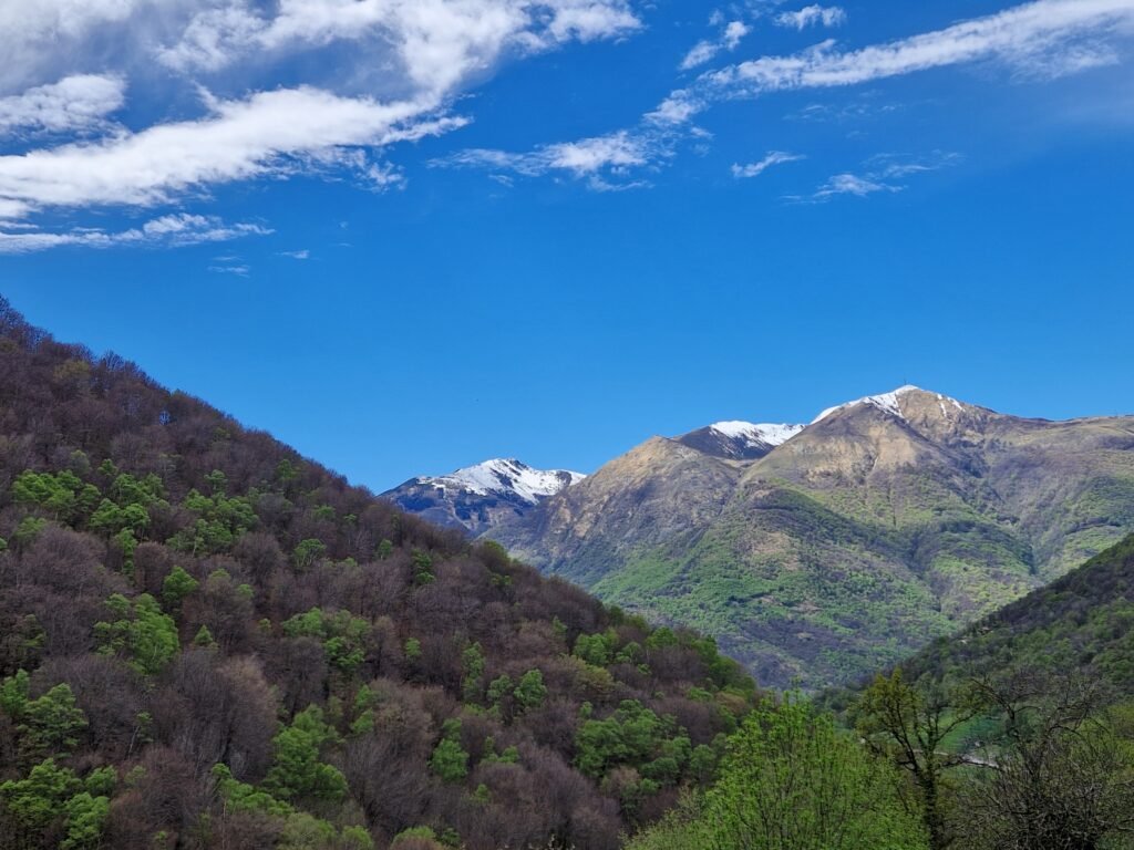 21 Vue Sud