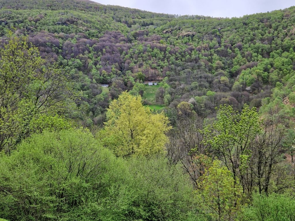 22 Vue EST