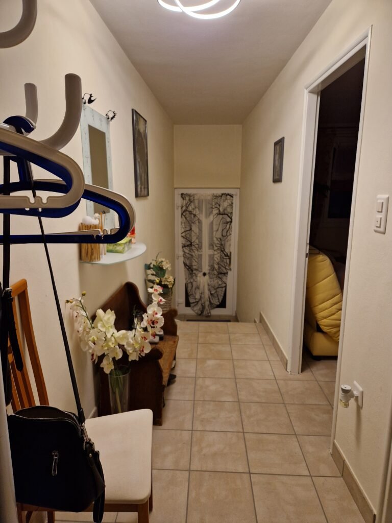 8 Hall avec porte entrée